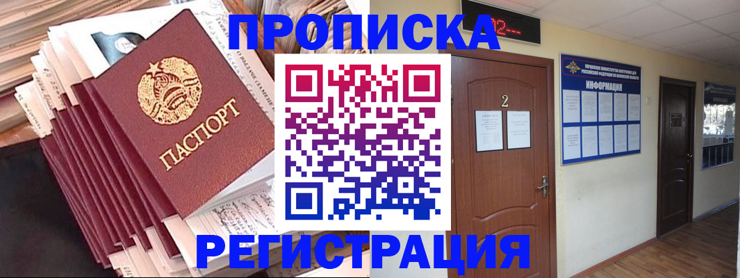 прописка поиск в Болотном